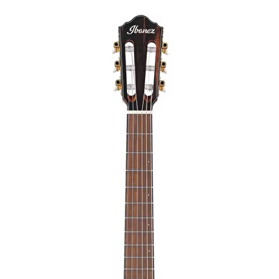 Ibanez FRH10NL-BSF Thinline Solak Elektro Klasik Gitar